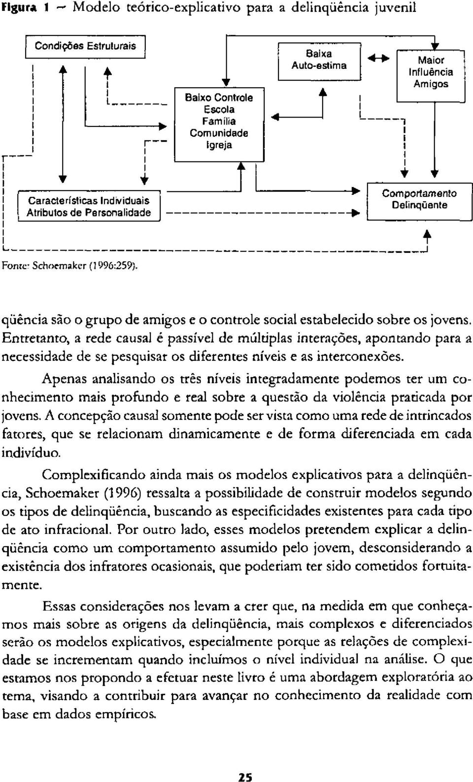 Apenas analisando os três níveis integradamente podemos ter um conhecimento mais profundo e real sobre a questão da violência praticada por jovens.