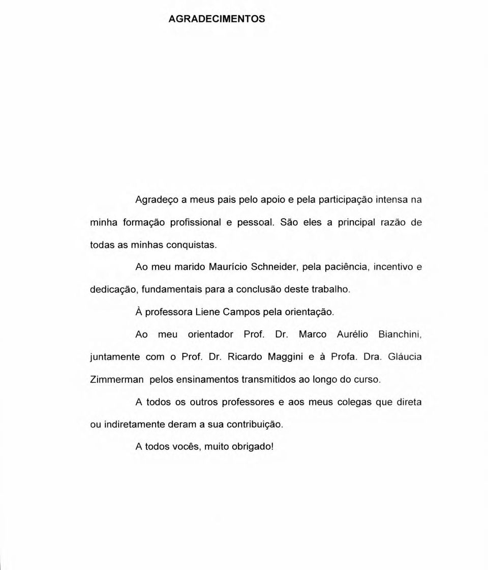 Ao meu marido Mauricio Schneider, pela paciência, incentivo e dedicação, fundamentais para a conclusão deste trabalho. ;o professora Liene Campos pela orientação.