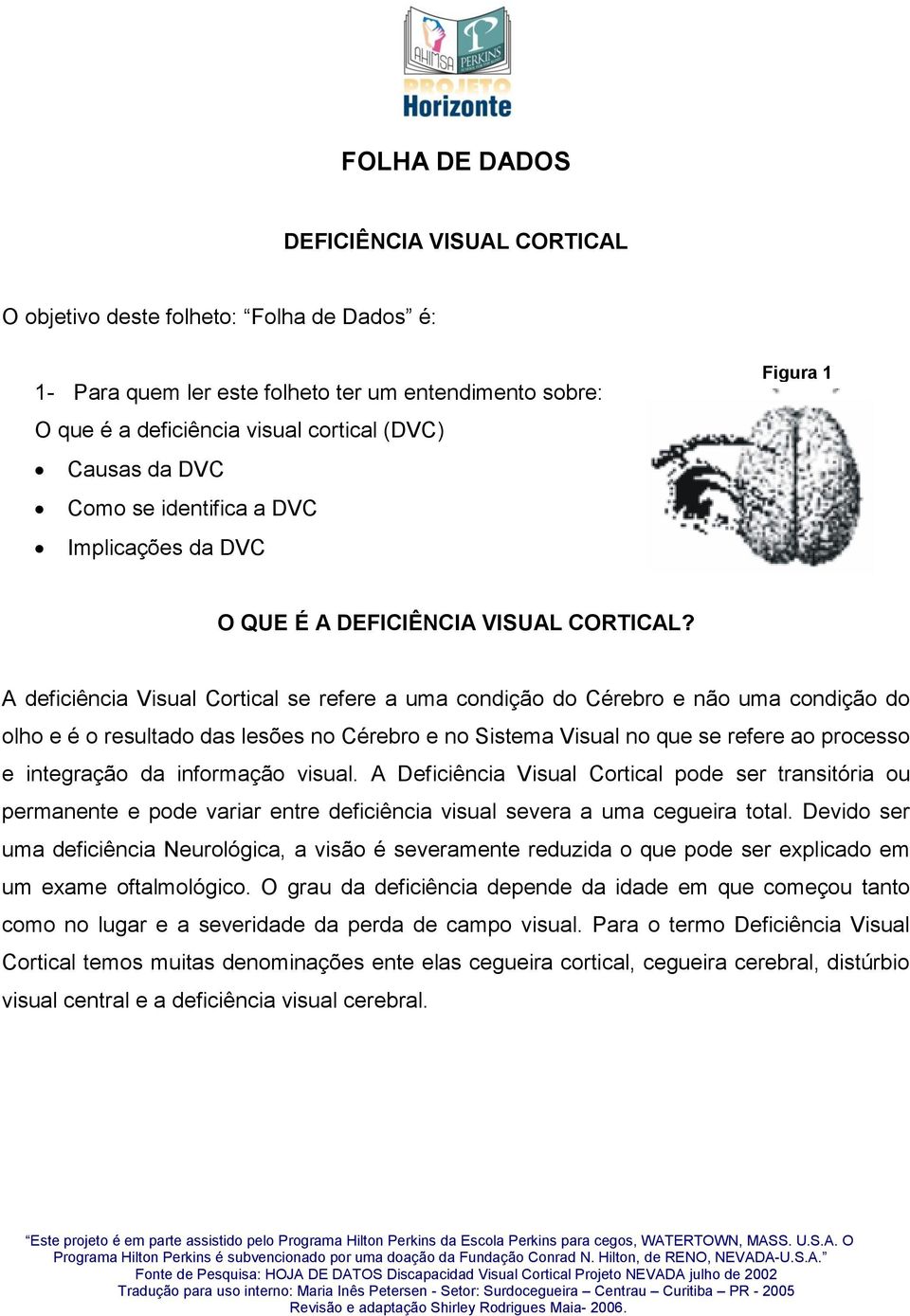 A deficiência Visual Cortical se refere a uma condição do Cérebro e não uma condição do olho e é o resultado das lesões no Cérebro e no Sistema Visual no que se refere ao processo e integração da