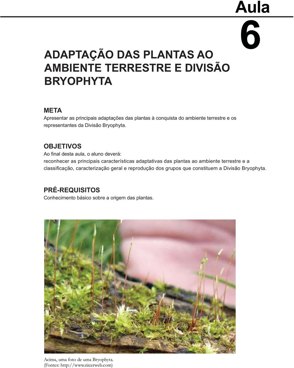 OBJETIVOS Ao fi nal desta aula, o aluno deverá: reconhecer as principais características adaptativas das plantas ao ambiente terrestre e a