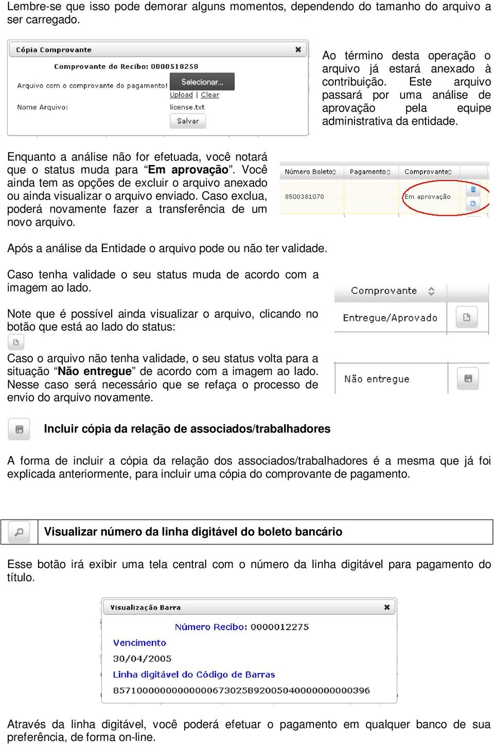 Você ainda tem as opções de excluir o arquivo anexado ou ainda visualizar o arquivo enviado. Caso exclua, poderá novamente fazer a transferência de um novo arquivo.