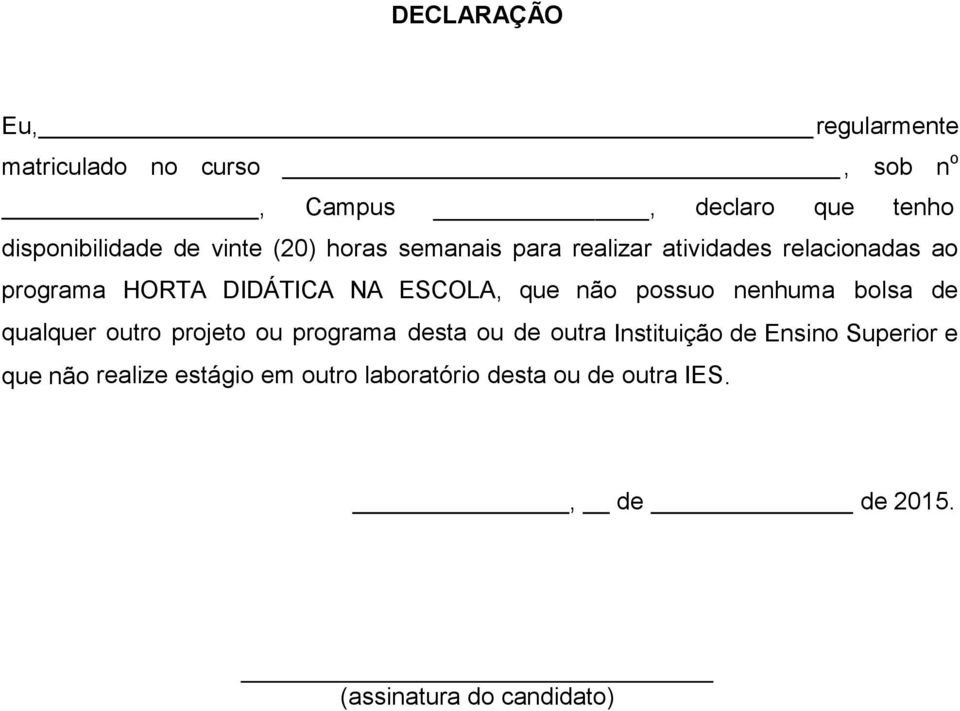 não possuo nenhuma bolsa de qualquer outro projeto ou programa desta ou de outra Instituição de Ensino