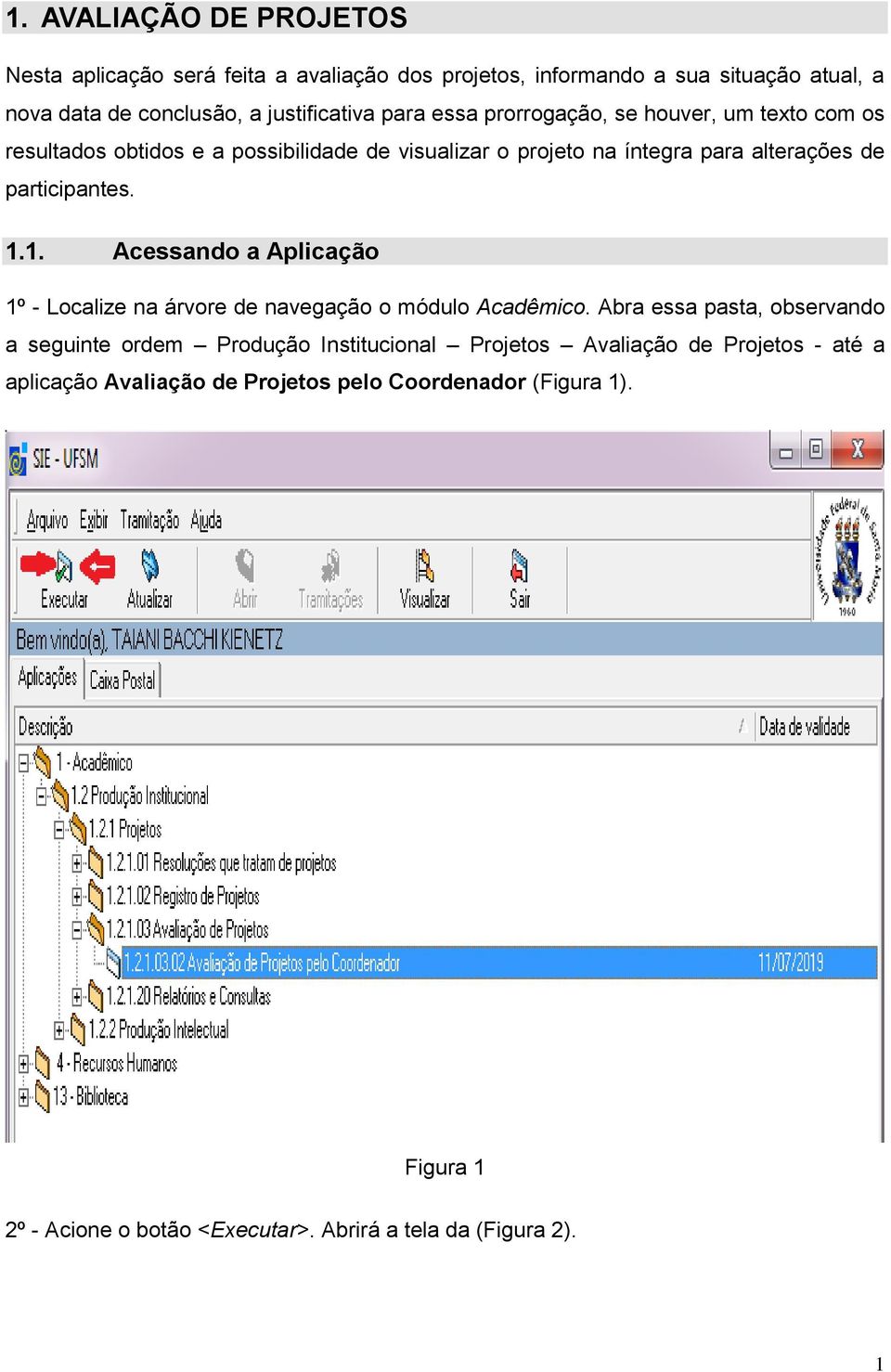 1. Acessando a Aplicação 1º - Localize na árvore de navegação o módulo Acadêmico.