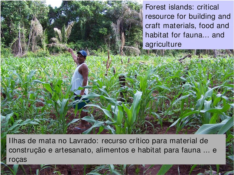 .. and agriculture Ilhas de mata no Lavrado: recurso