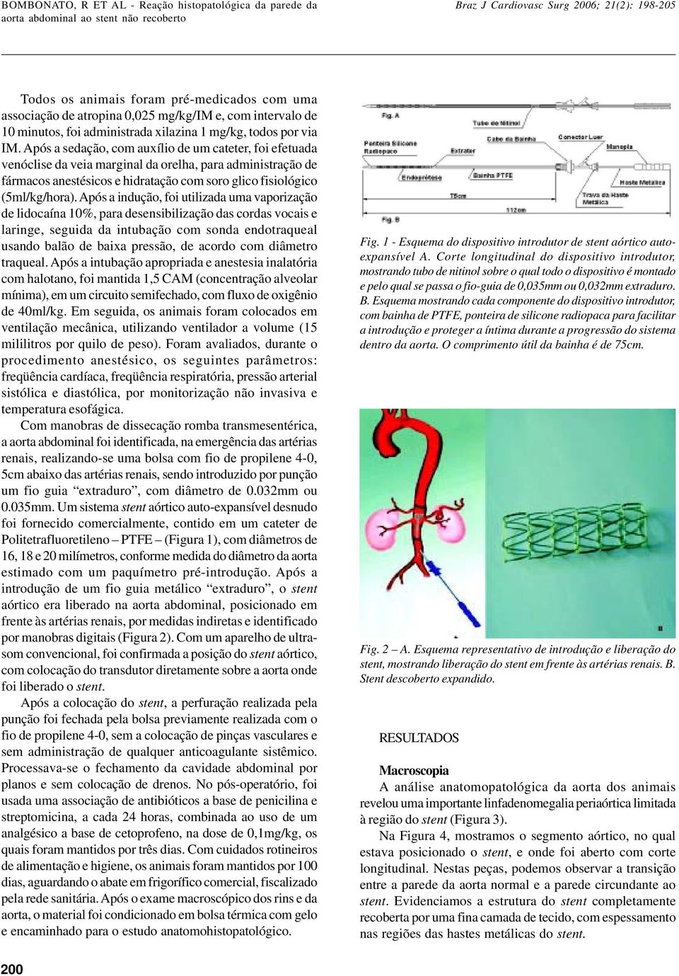 Após a indução, foi utilizada uma vaporização de lidocaína 10%, para desensibilização das cordas vocais e laringe, seguida da intubação com sonda endotraqueal usando balão de baixa pressão, de acordo