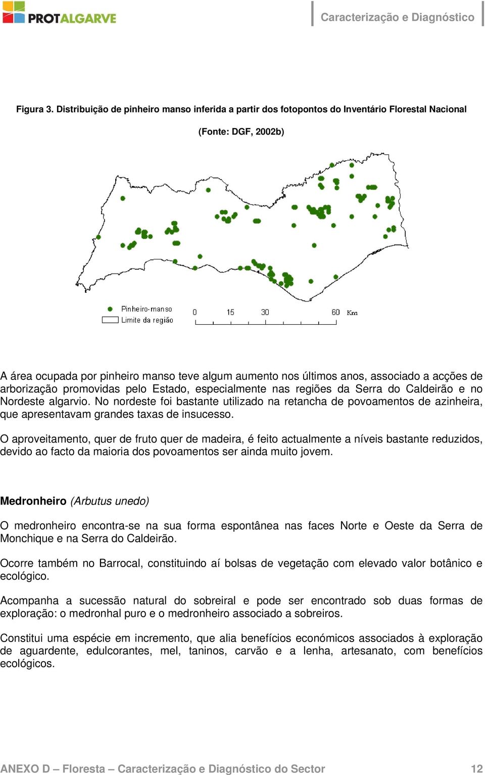 acções de arborização promovidas pelo Estado, especialmente nas regiões da Serra do Caldeirão e no Nordeste algarvio.