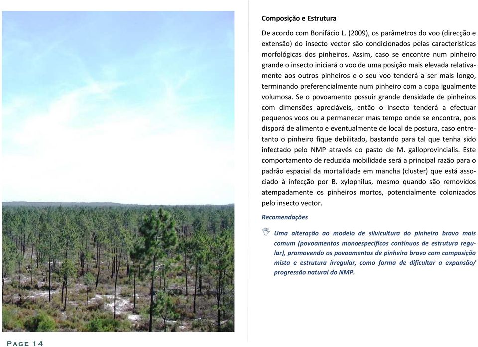 Por outro lado, a destruição dos sobrantes é um dos factores mais importantes no controlo do NMP o Longicórnio do Pinheiro tem preferência pelas partes mais finas da árvore/bicada (menos de 20 cm de