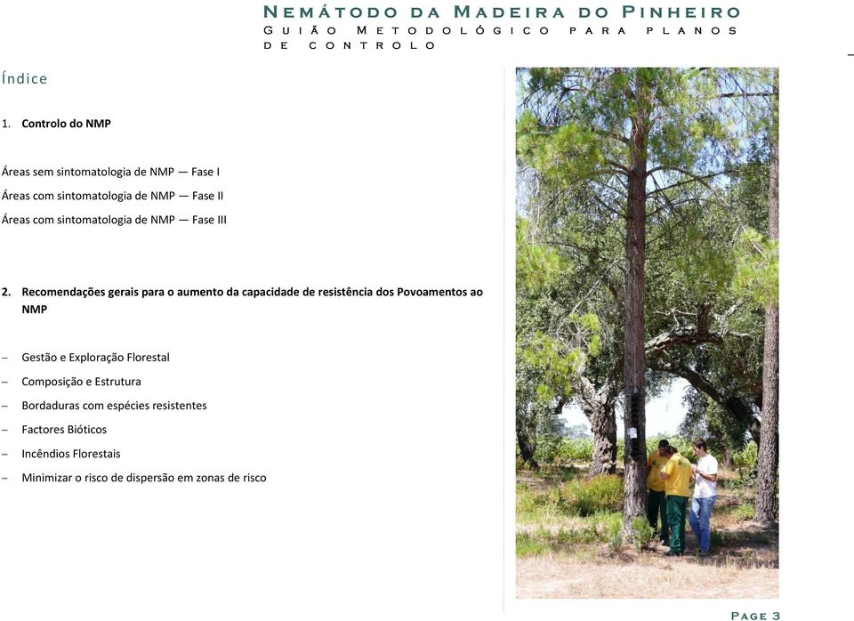Recomendações gerais para o aumento da capacidade de resistência dos Povoamentos ao NMP Gestão e Exploração Florestal Composição e