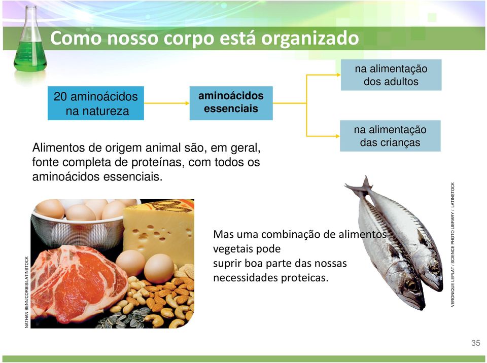 Mas uma combinação de alimentos vegetais pode suprir boa parte das nossas necessidades proteicas.