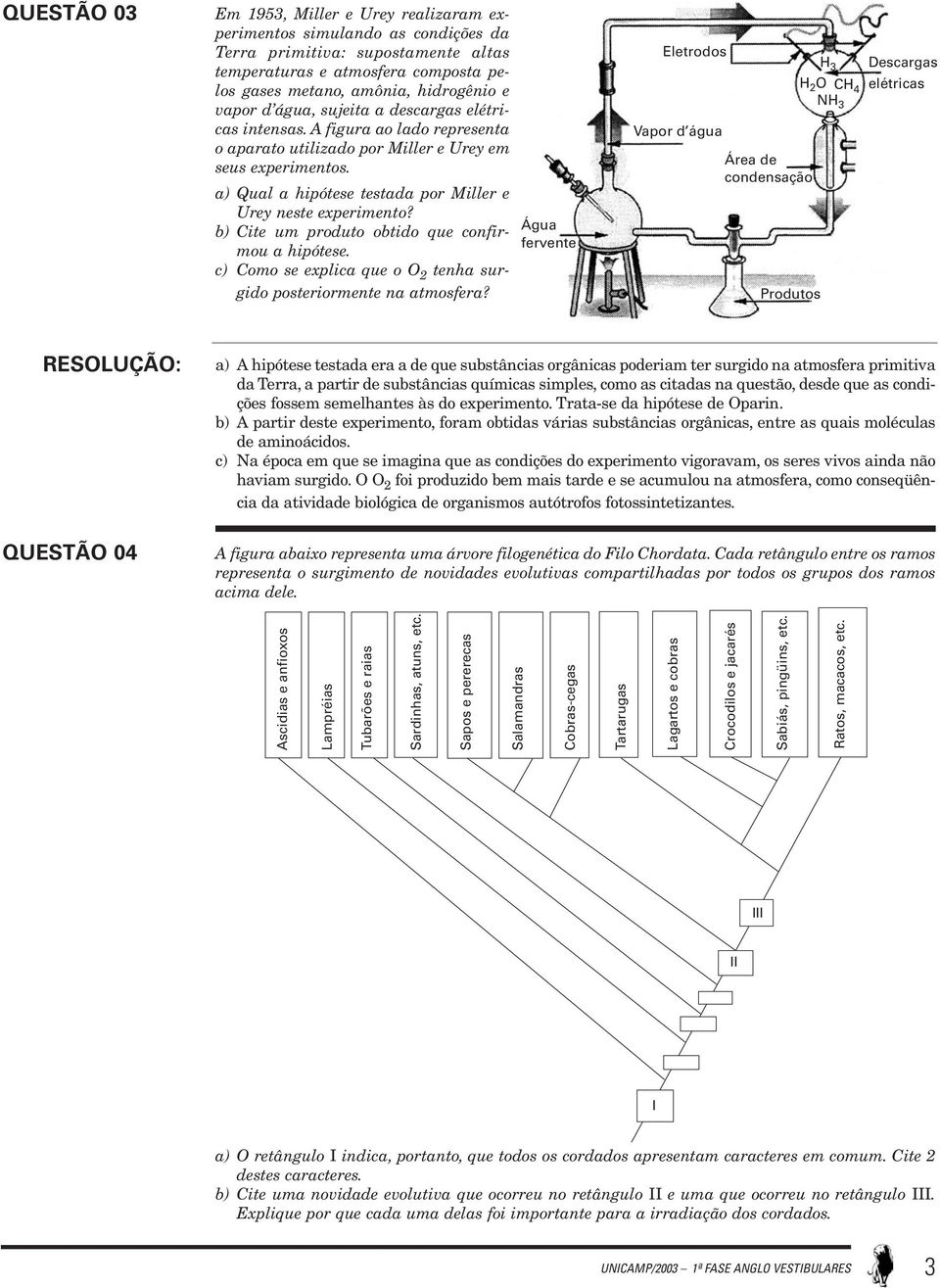 a) Qual a hipótese testada por Miller e Urey neste experimento? b) Cite um produto obtido que confirmou a hipótese. c) Como se explica que o O 2 tenha surgido posteriormente na atmosfera?