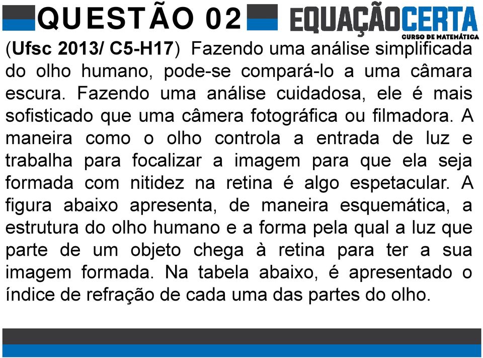 A maneira como o olho controla a entrada de luz e trabalha para focalizar a imagem para que ela seja formada com nitidez na retina é algo espetacular.