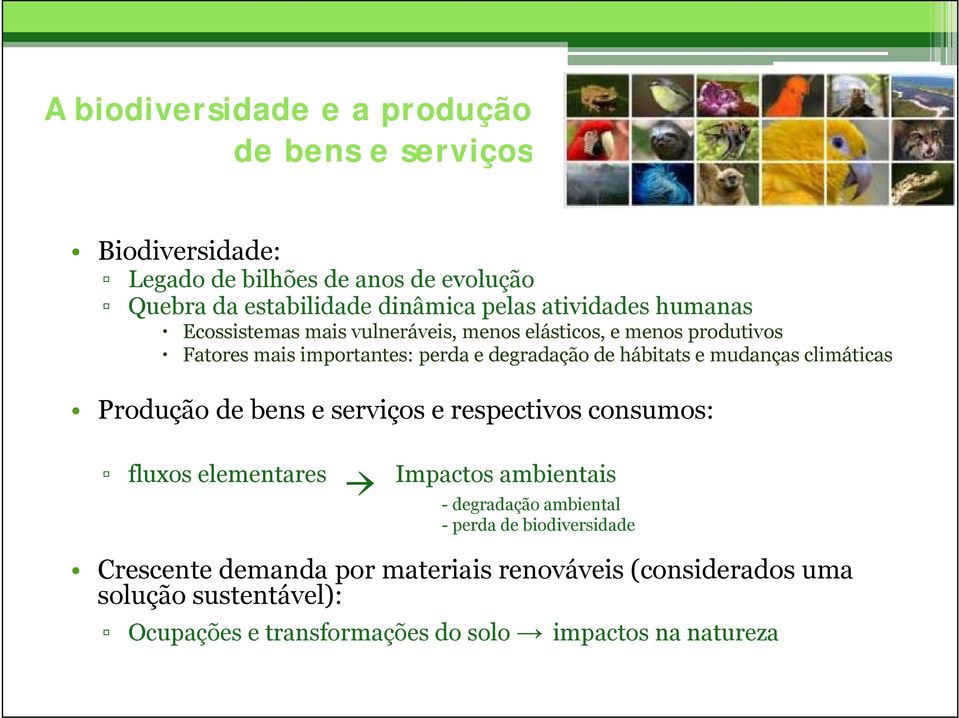 mudanças climáticas Produção de bens e serviços e respectivos consumos: fluxos elementares Impactos ambientais - degradação ambiental - perda de