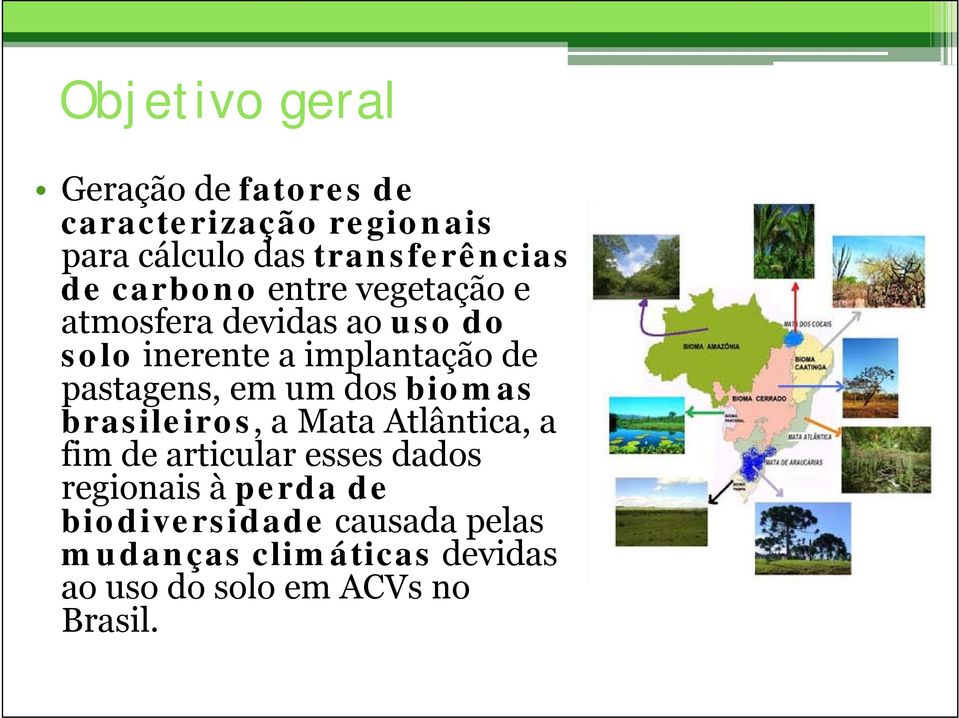 em um dos biomas brasileiros, a Mata Atlântica, a fim de articular esses dados regionais i à