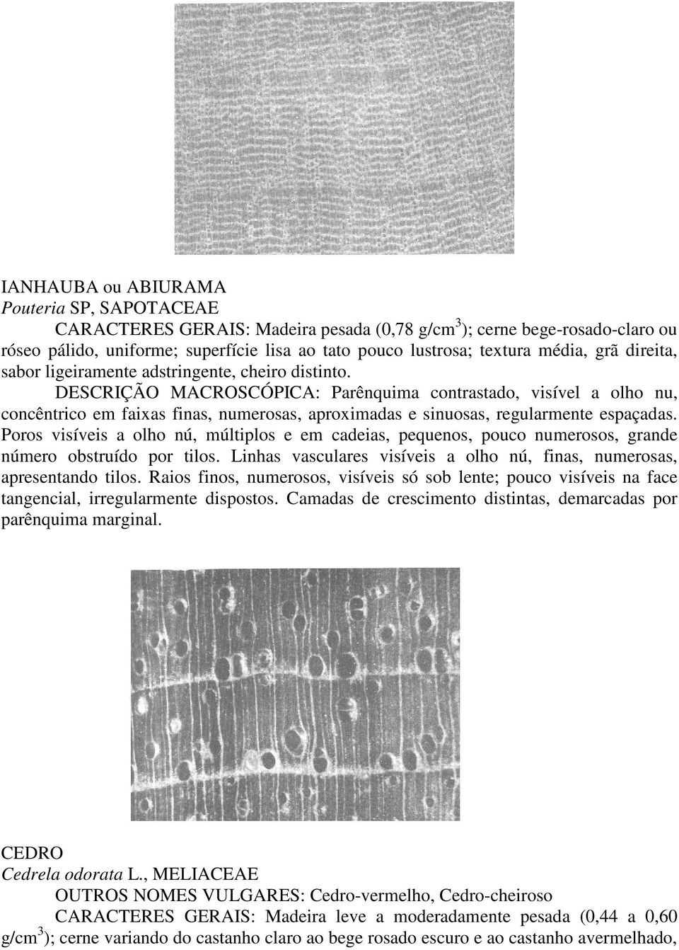 DESCRIÇÃO MACROSCÓPICA: Parênquima contrastado, visível a olho nu, concêntrico em faixas finas, numerosas, aproximadas e sinuosas, regularmente espaçadas.