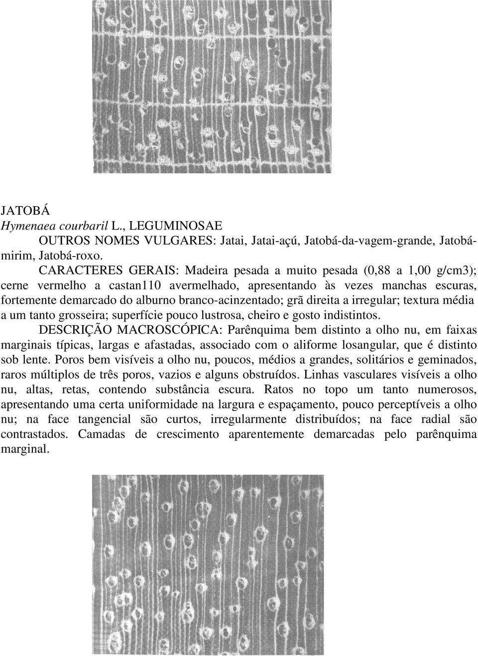 branco-acinzentado; grã direita a irregular; textura média a um tanto grosseira; superfície pouco lustrosa, cheiro e gosto indistintos.