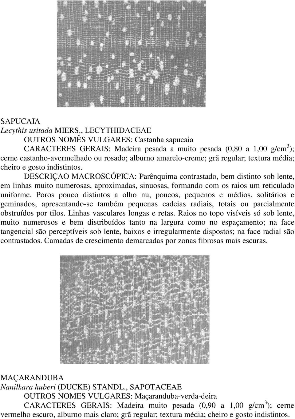 regular; textura média; cheiro e gosto indistintos.