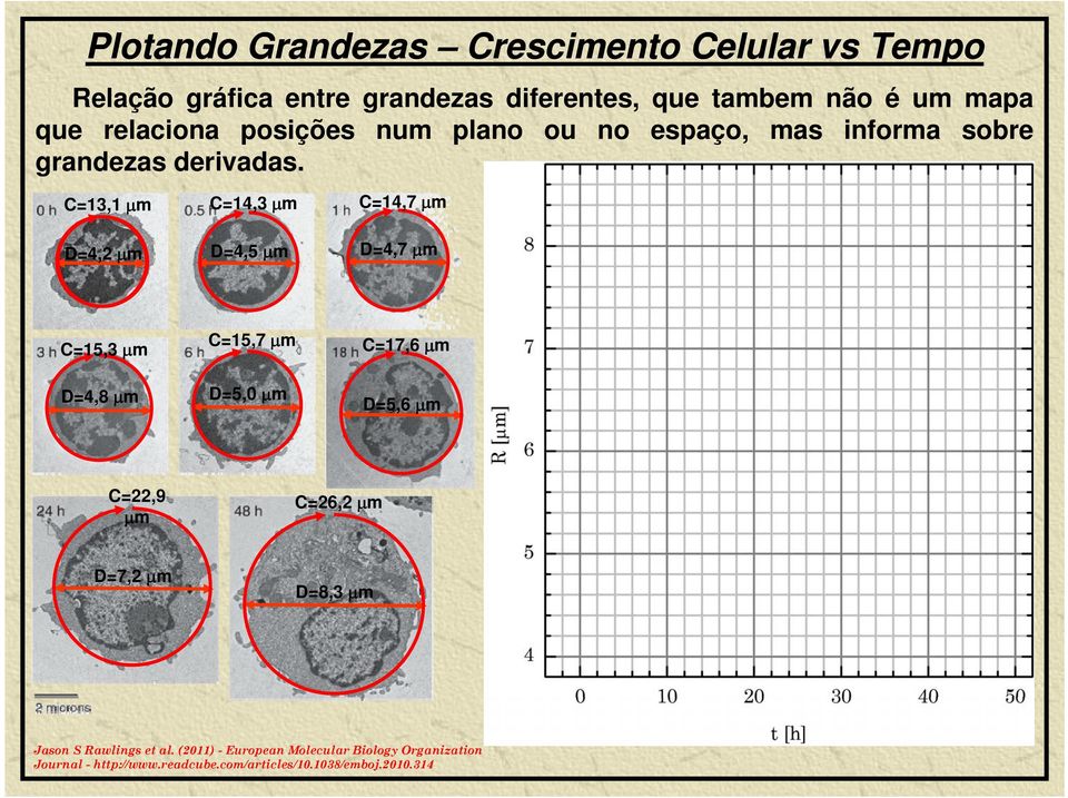 C=13,1 1 m C=14,3 mm C=14,7 m D=4, m D=4,5 m D=4,7 m C=15,3 m D=4,8 m C=15,7 m D=5,0 m C=17,6 m D=5,6 m C=,9 C=6, m