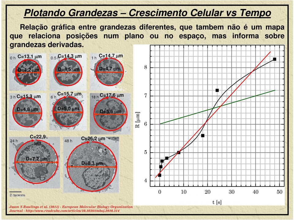 C=13,1 1 m C=14,3 mm C=14,7 m D=4, m D=4,5 m D=4,7 m C=15,3 m D=4,8 m C=15,7 m D=5,0 m C=17,6 m D=5,6 m C=,9 C=6, m