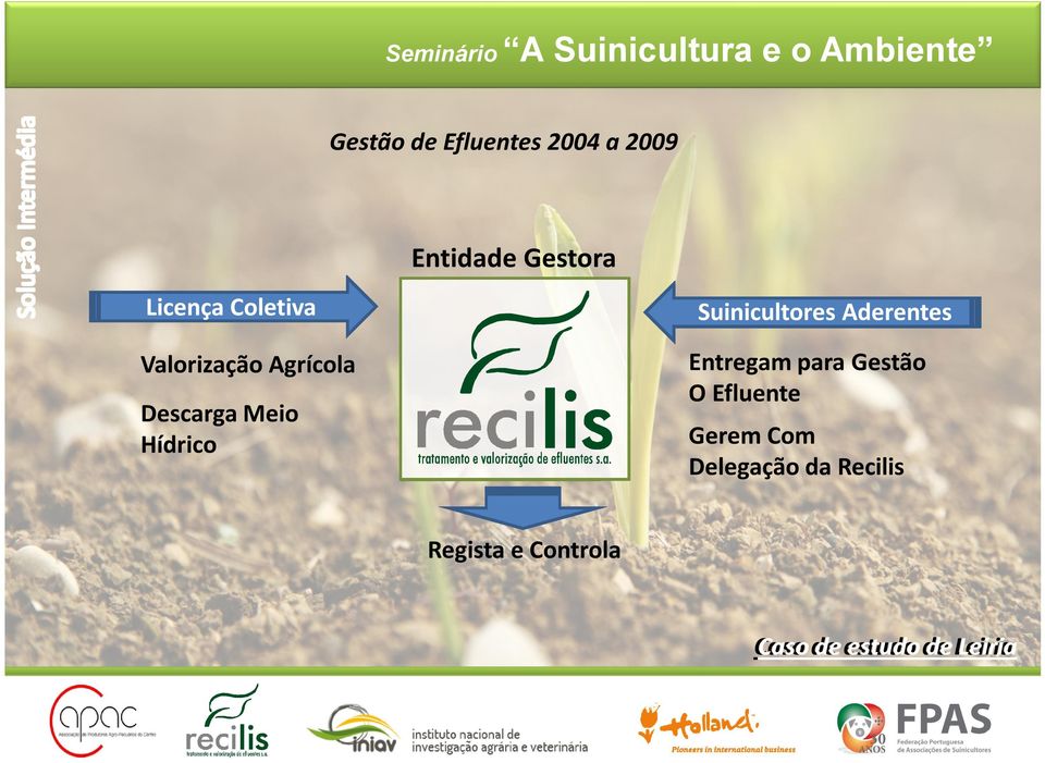 Gestão O Efluente Valorização Agrícola Descarga Meio