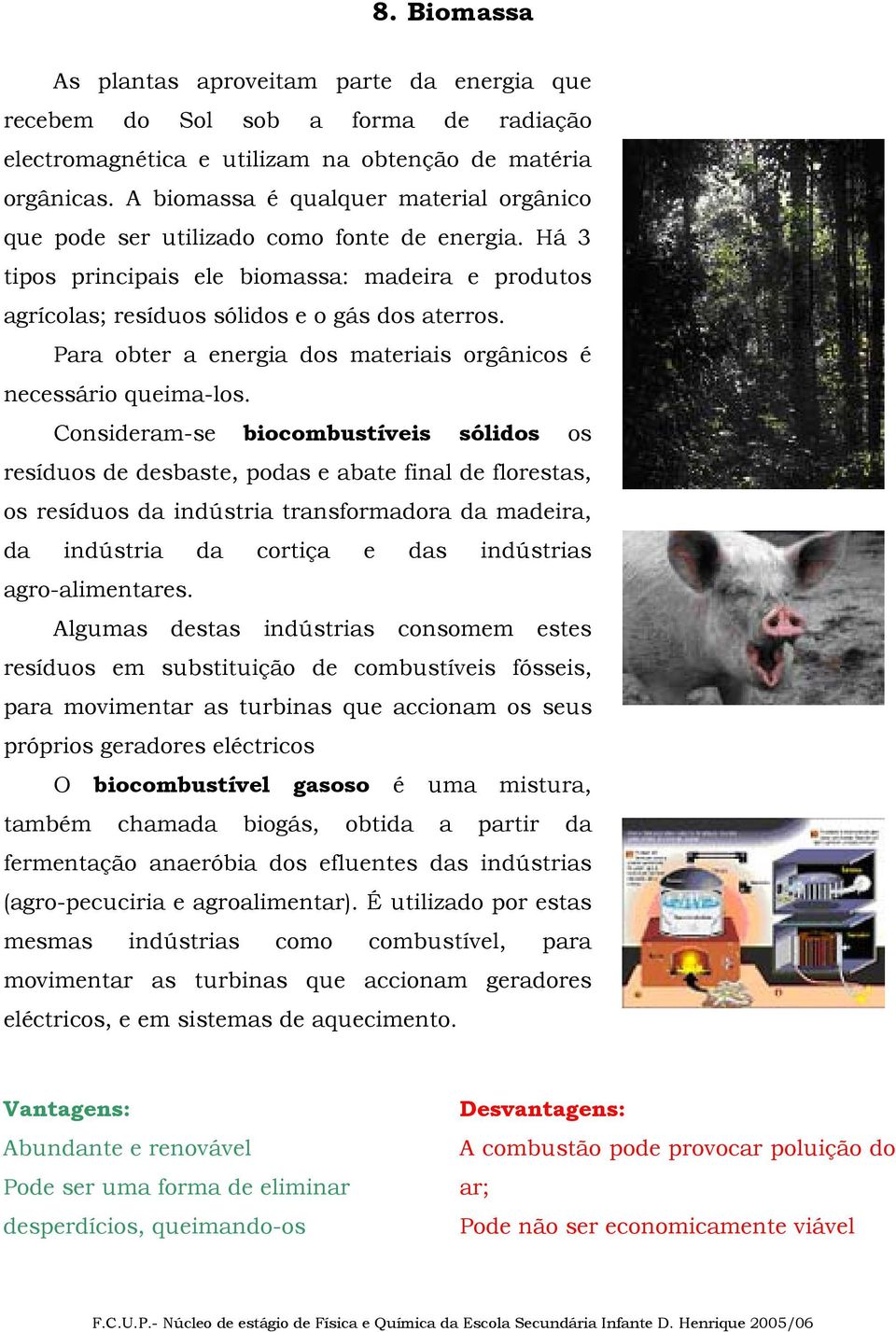 Para obter a energia dos materiais orgânicos é necessário queima-los.