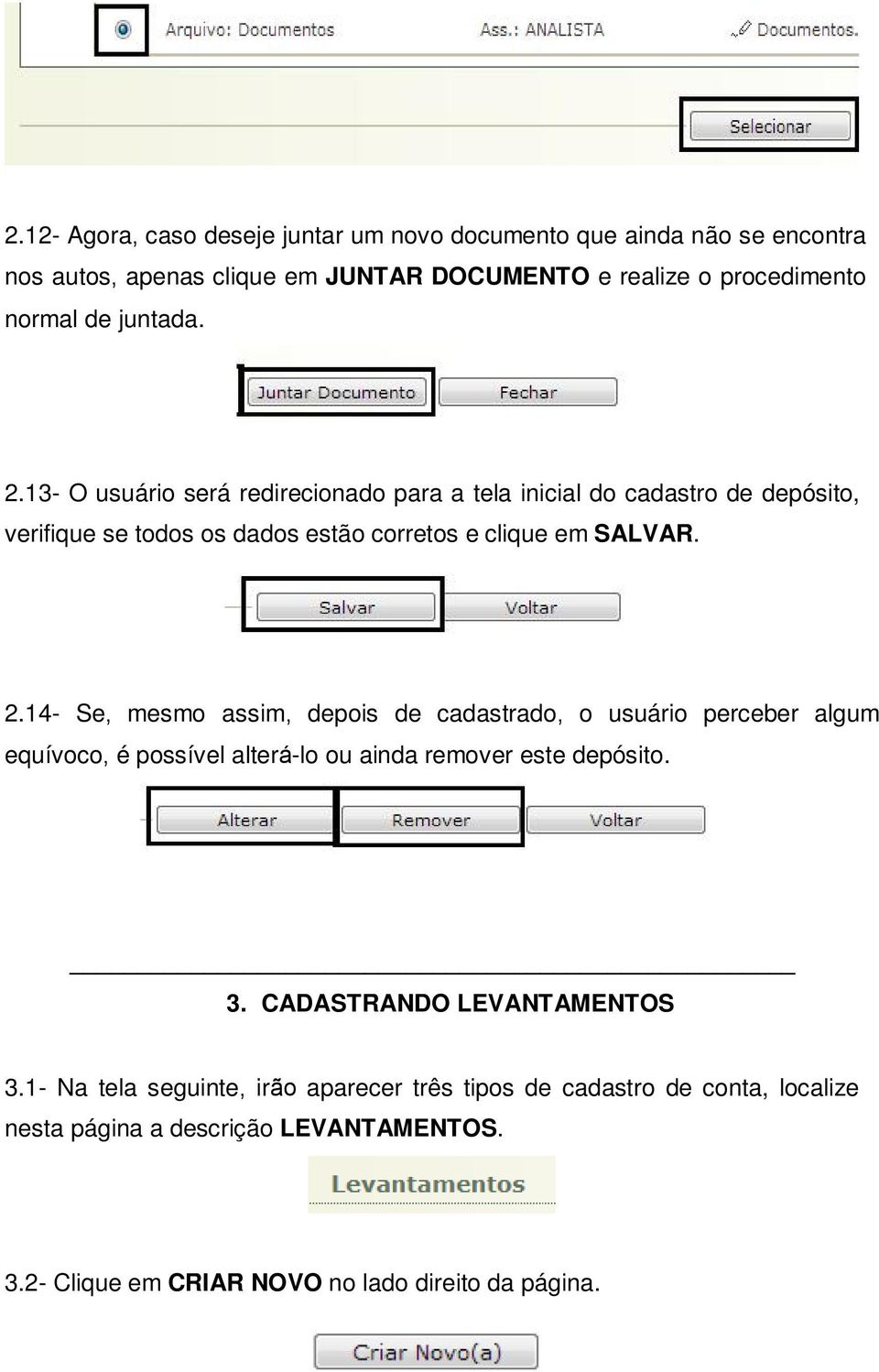 3. CADASTRANDO LEVANTAMENTOS 3.1- Na tela seguinte, irão aparecer três tipos de cadastro de conta, localize nesta página a descrição LEVANTAMENTOS. 3.2- Clique em CRIAR NOVO no lado direito da página.