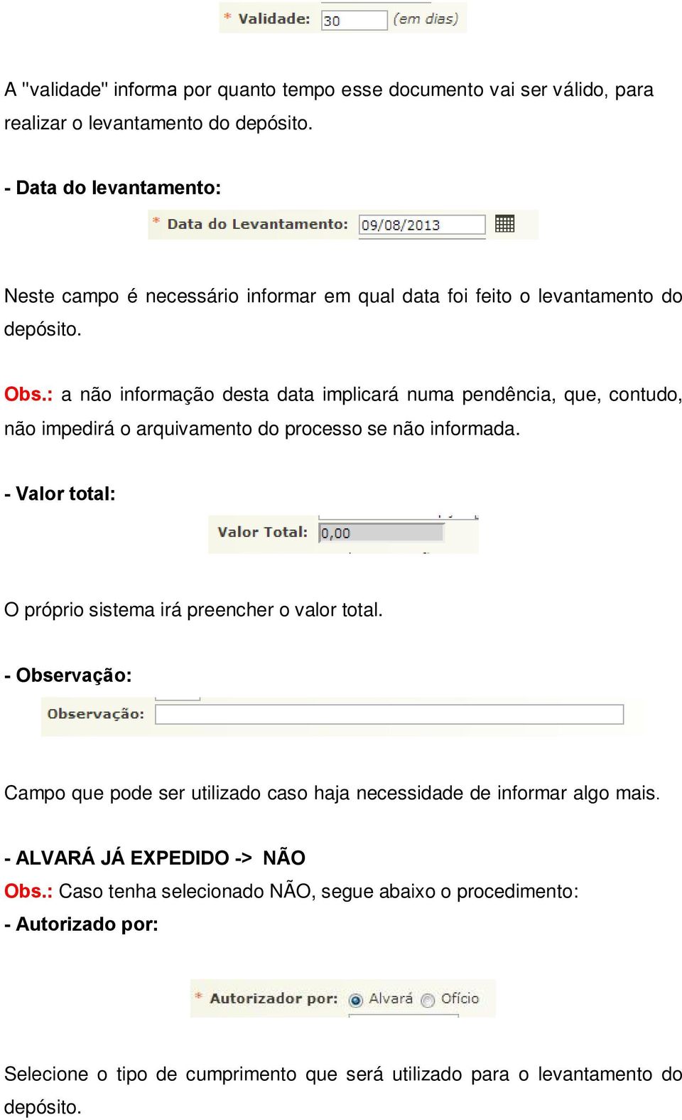 : a não informação desta data implicará numa pendência, que, contudo, não impedirá o arquivamento do processo se não informada.