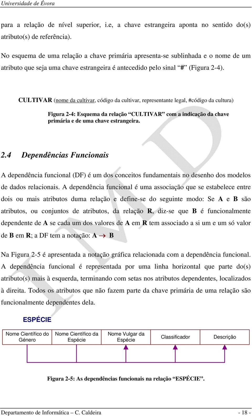 CULTIVAR (nome da cultivar, código da cultivar, representante legal, #código da cultura) Figura 2-