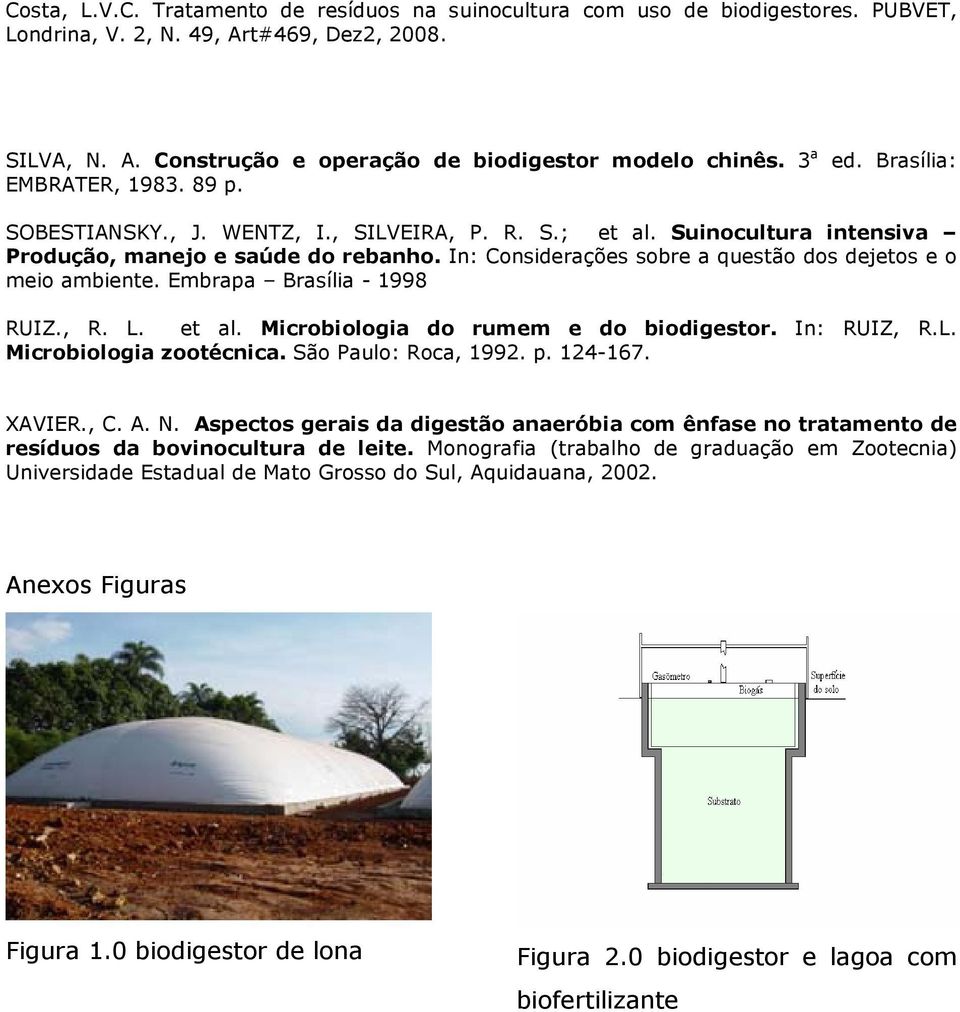 Microbiologia do rumem e do biodigestor. In: RUIZ, R.L. Microbiologia zootécnica. São Paulo: Roca, 1992. p. 124-167. XAVIER., C. A. N.