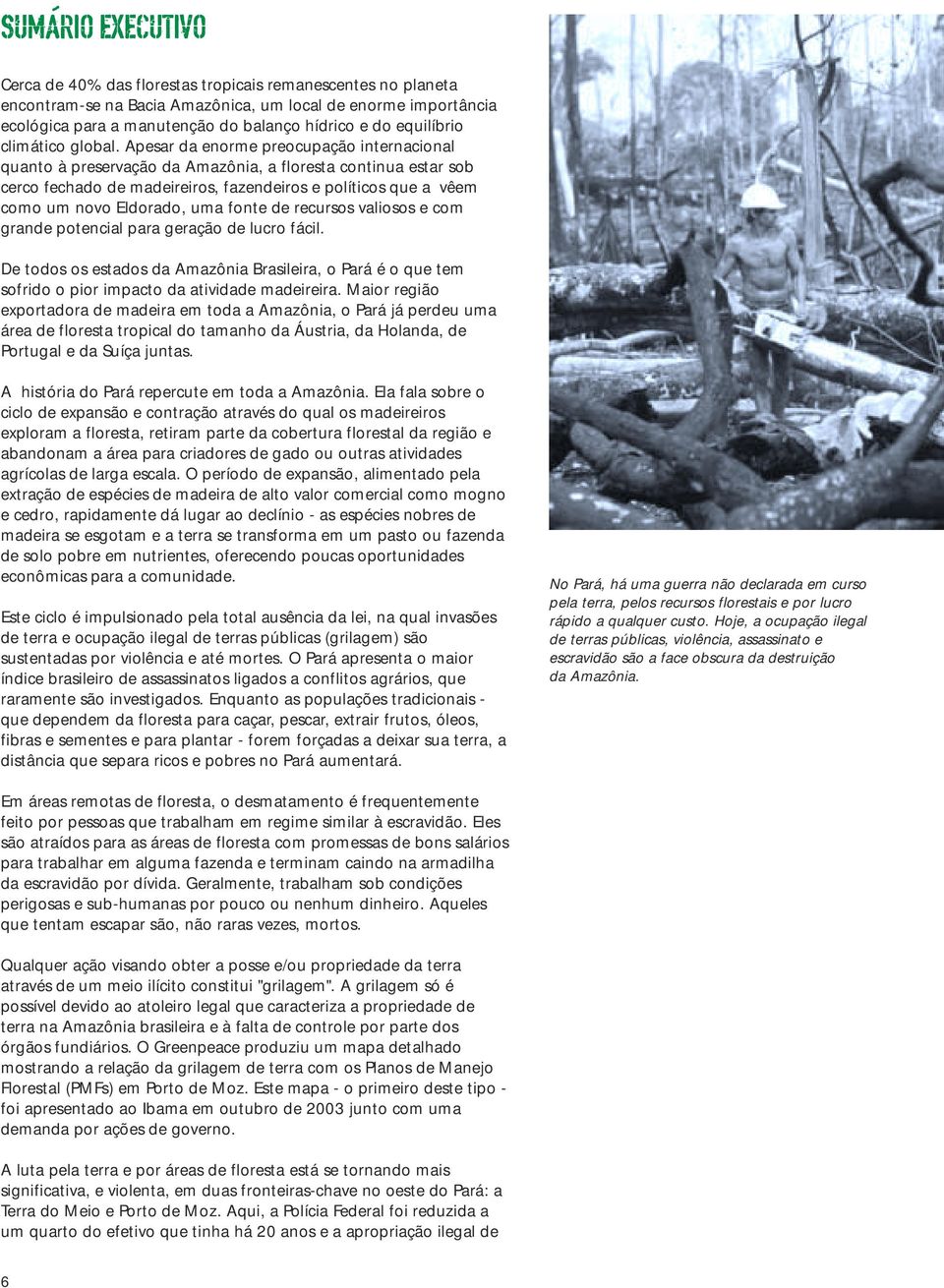 Apesar da enorme preocupação internacional quanto à preservação da Amazônia, a floresta continua estar sob cerco fechado de madeireiros, fazendeiros e políticos que a vêem como um novo Eldorado, uma