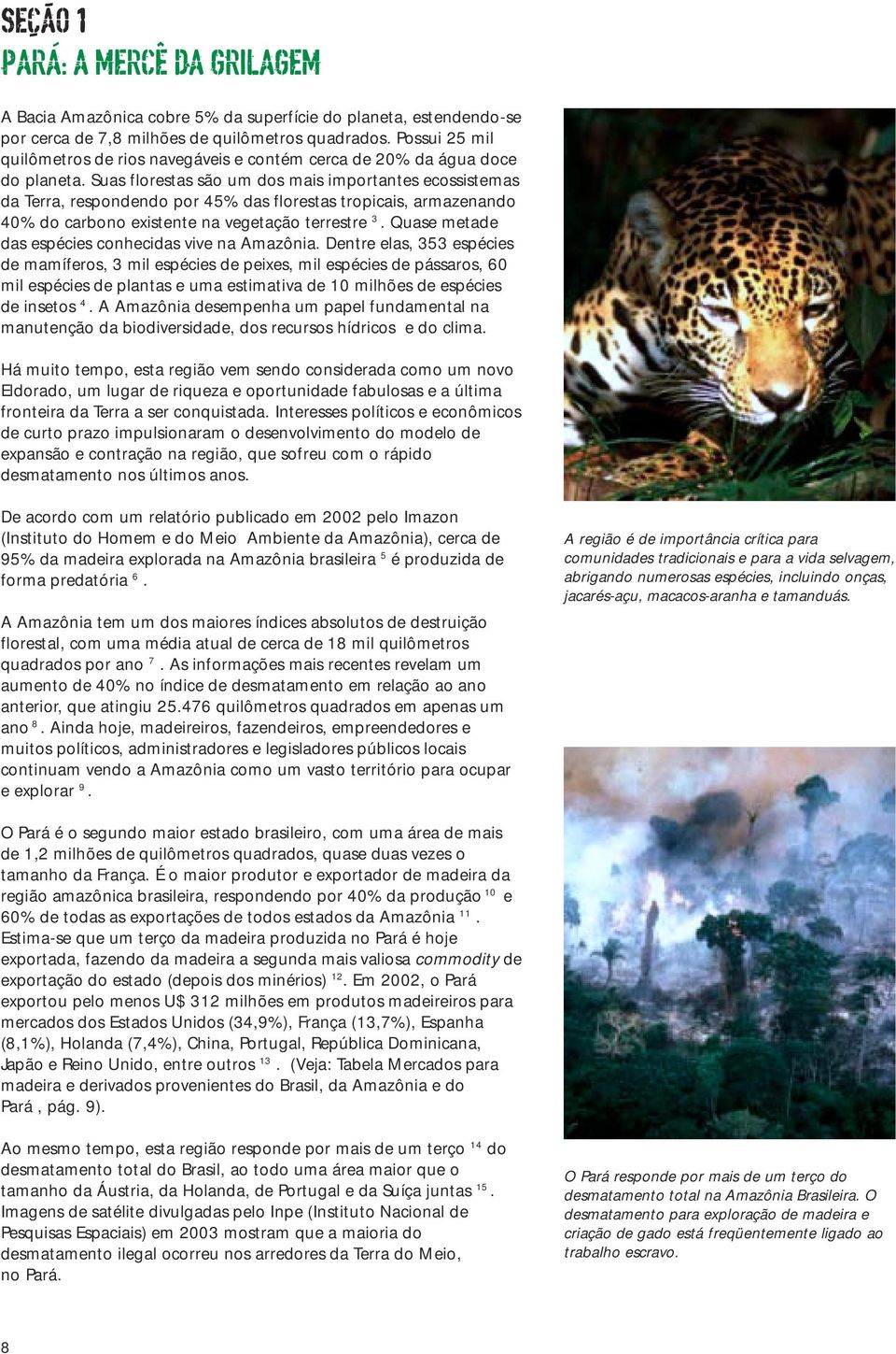 Suas florestas são um dos mais importantes ecossistemas da Terra, respondendo por 45% das florestas tropicais, armazenando 40% do carbono existente na vegetação terrestre 3.