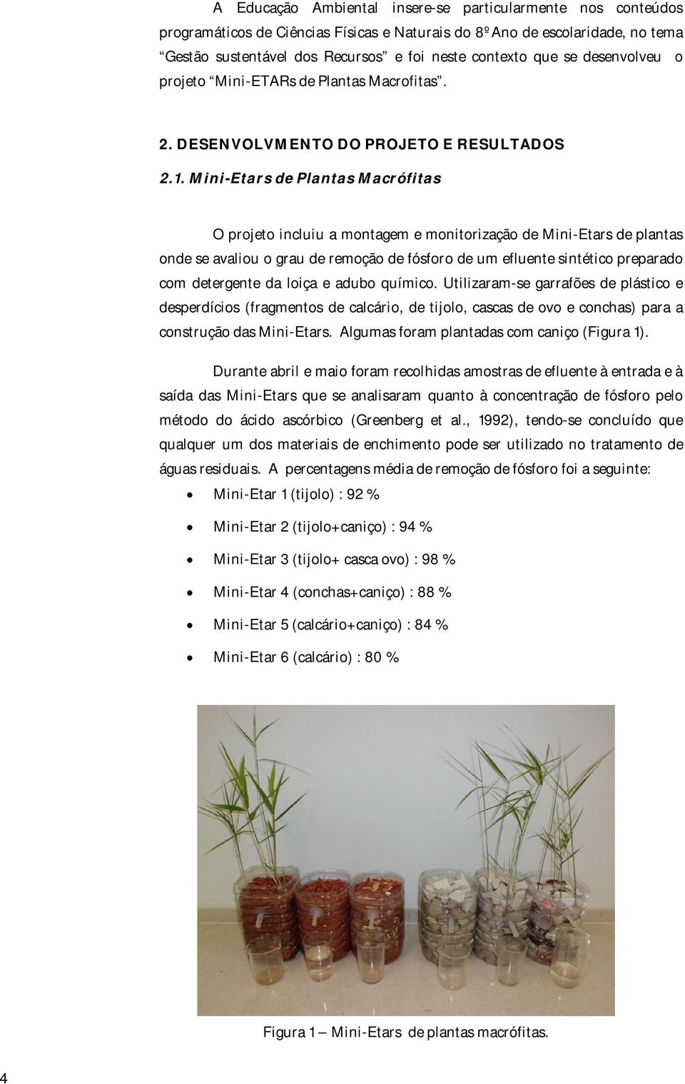 Mini-Etars de Plantas Macrófitas O projeto incluiu a montagem e monitorização de Mini-Etars de plantas onde se avaliou o grau de remoção de fósforo de um efluente sintético preparado com detergente