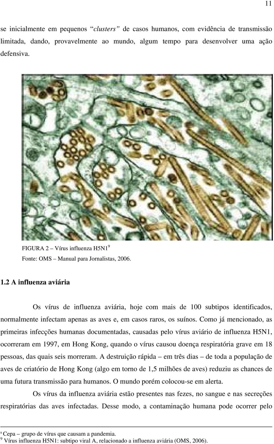 2 A influenza aviária Os vírus de influenza aviária, hoje com mais de 100 subtipos identificados, normalmente infectam apenas as aves e, em casos raros, os suínos.