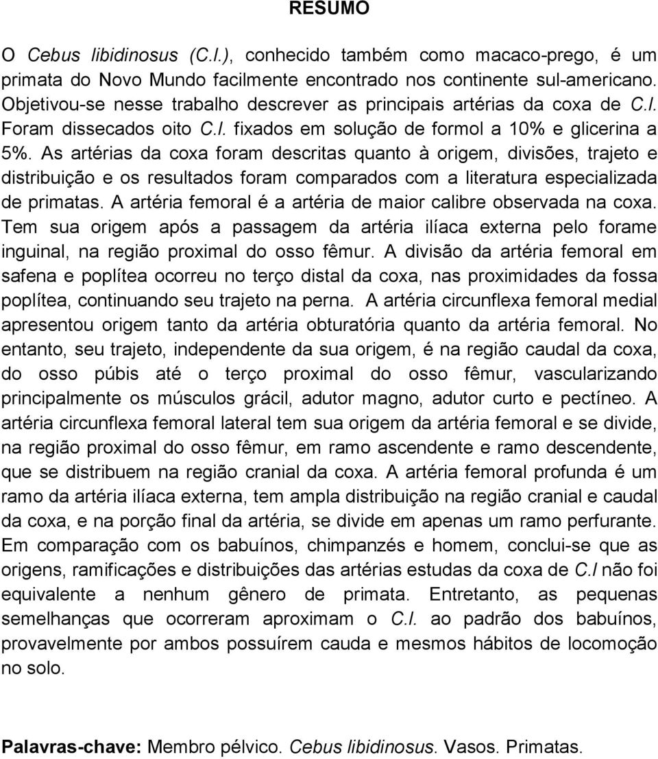 As artérias da coxa foram descritas quanto à origem, divisões, trajeto e distribuição e os resultados foram comparados com a literatura especializada de primatas.