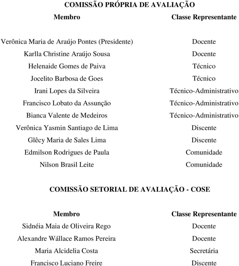 Brasil Leite Docente Docente Técnico Técnico Técnico-Administrativo Técnico-Administrativo Técnico-Administrativo Discente Discente Comunidade Comunidade COMISSÃO SETORIAL DE