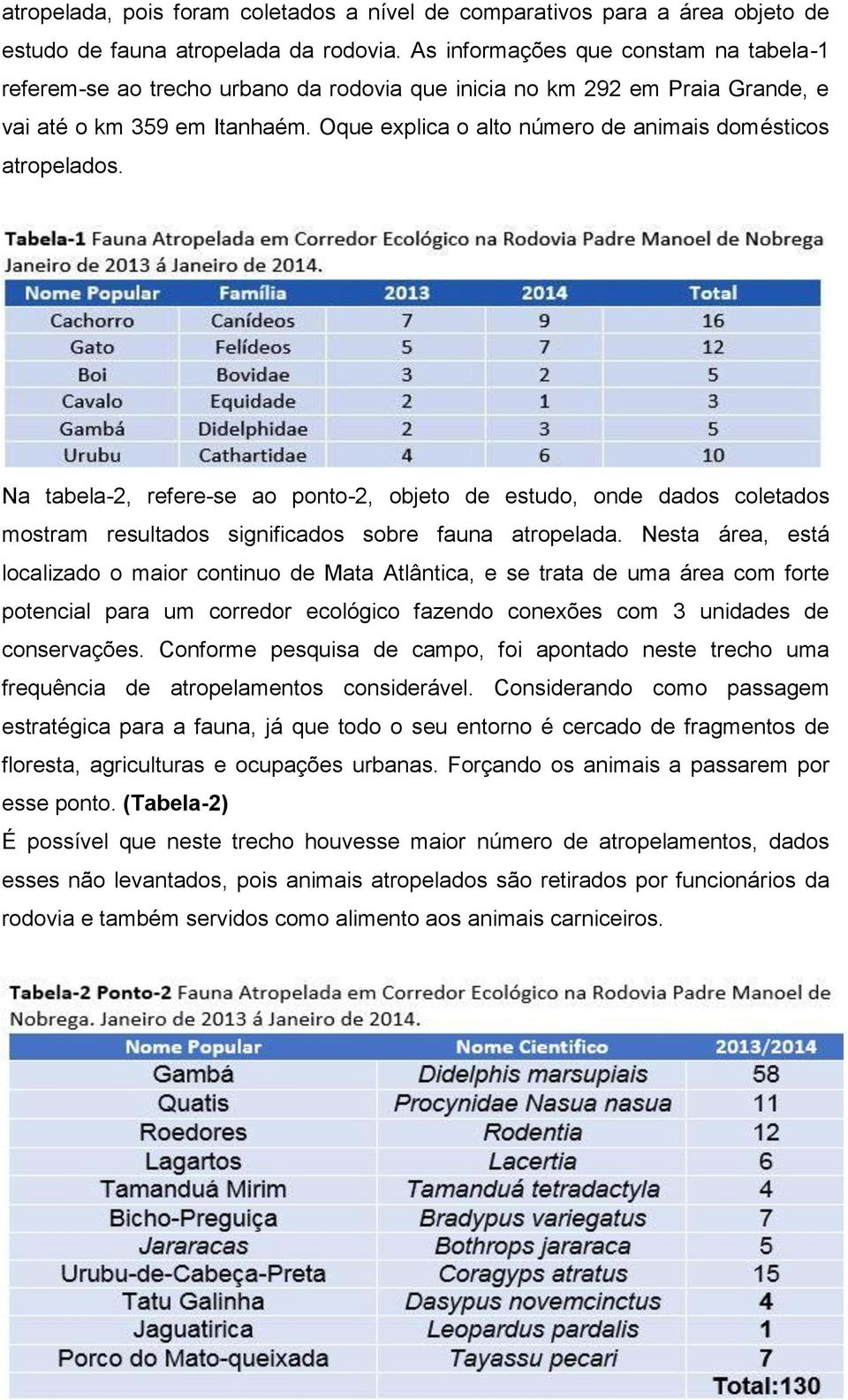 Oque explica o alto número de animais domésticos atropelados. Na tabela-2, refere-se ao ponto-2, objeto de estudo, onde dados coletados mostram resultados significados sobre fauna atropelada.