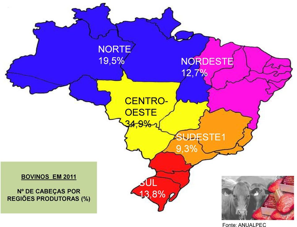 EM 2011 Nº DE CABEÇAS POR REGIÕES