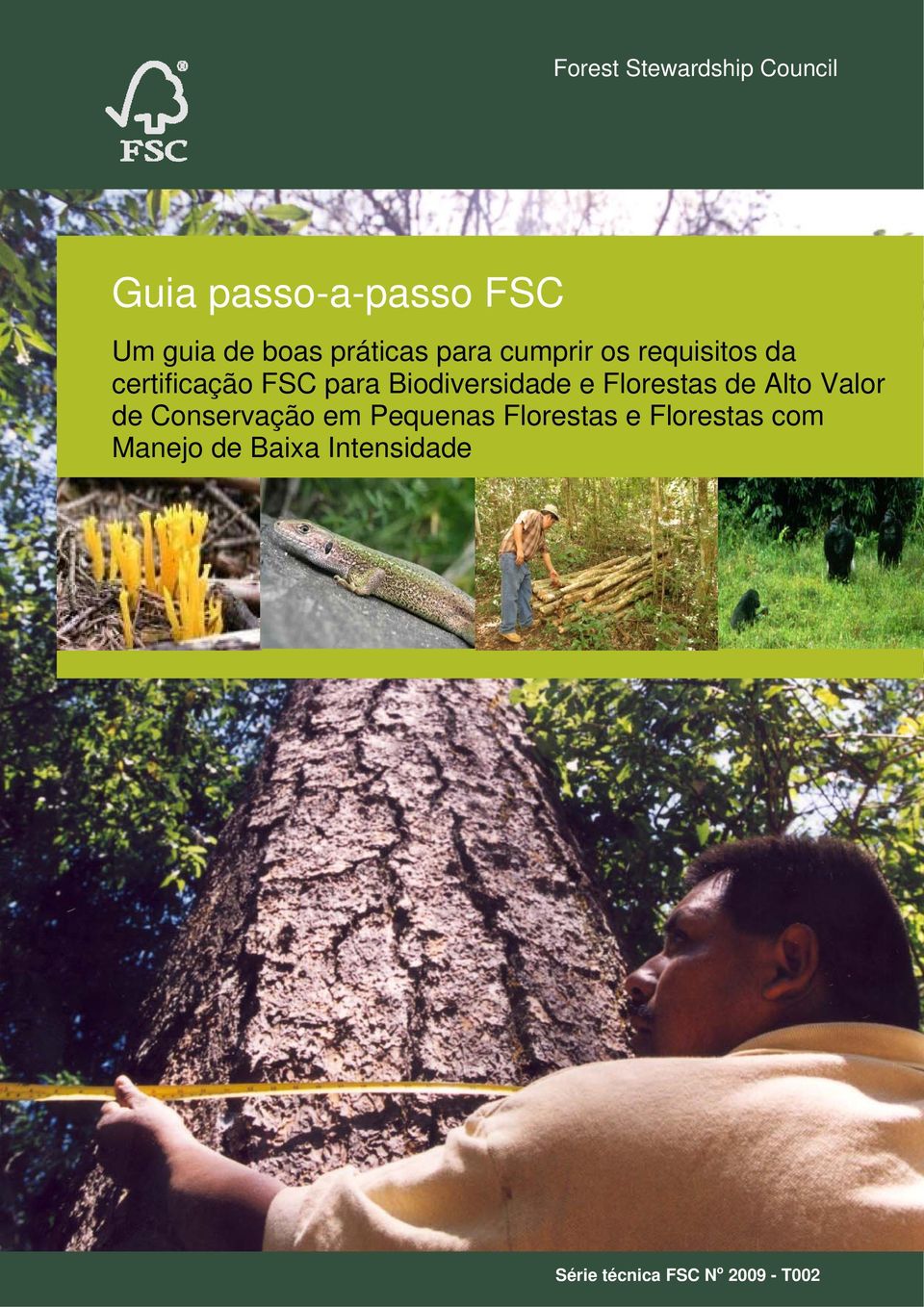 Alto Valor de Conservação em Pequenas Florestas e Florestas com
