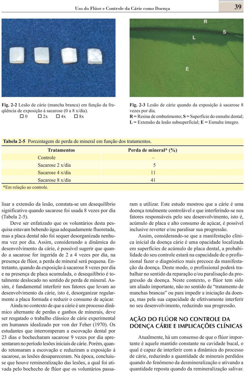 Tabela 2-5 Porcentagem de perda de mineral em função dos tratamentos. Tratamentos Perda de mineral* (%) Controle Sacarose 2 x/dia 5 Sacarose 4 x/dia 11 Sacarose 8 x/dia 41 *Em relação ao controle.