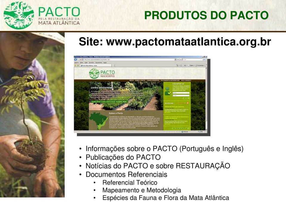 PACTO Notícias do PACTO e sobre RESTAURAÇÃO Documentos Referenciais