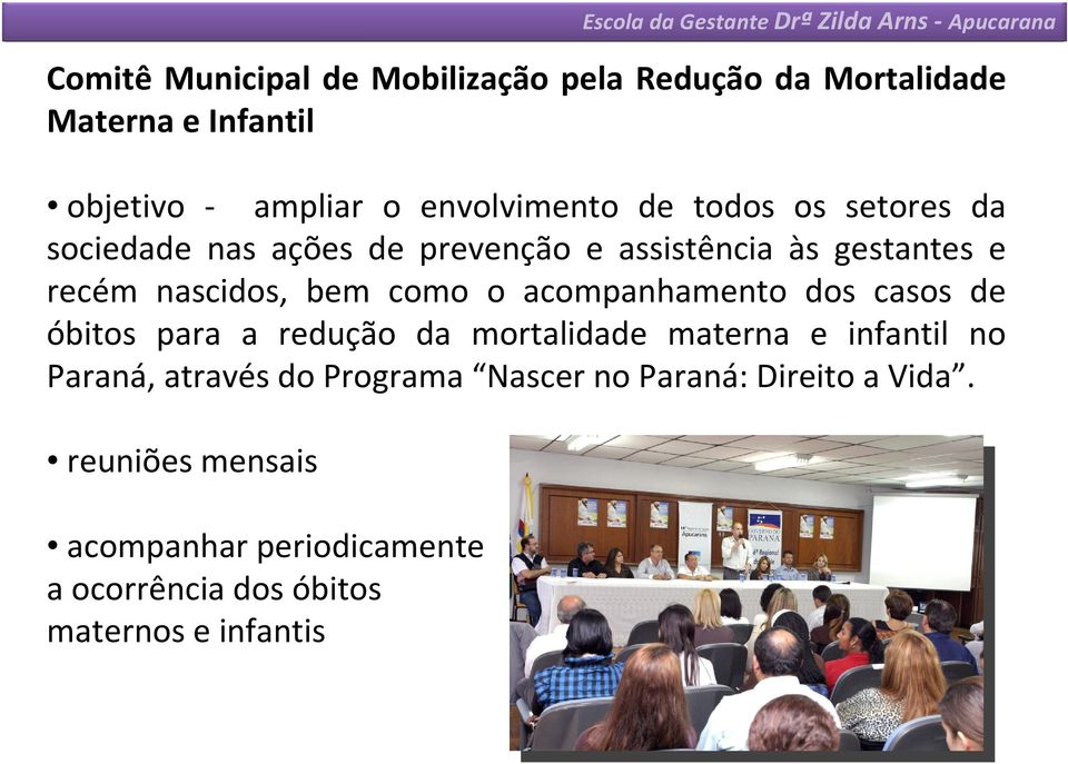 de óbitos para a redução da mortalidade materna e infantil no Paraná, através do Programa Nascer no Paraná: Direito a Vida.