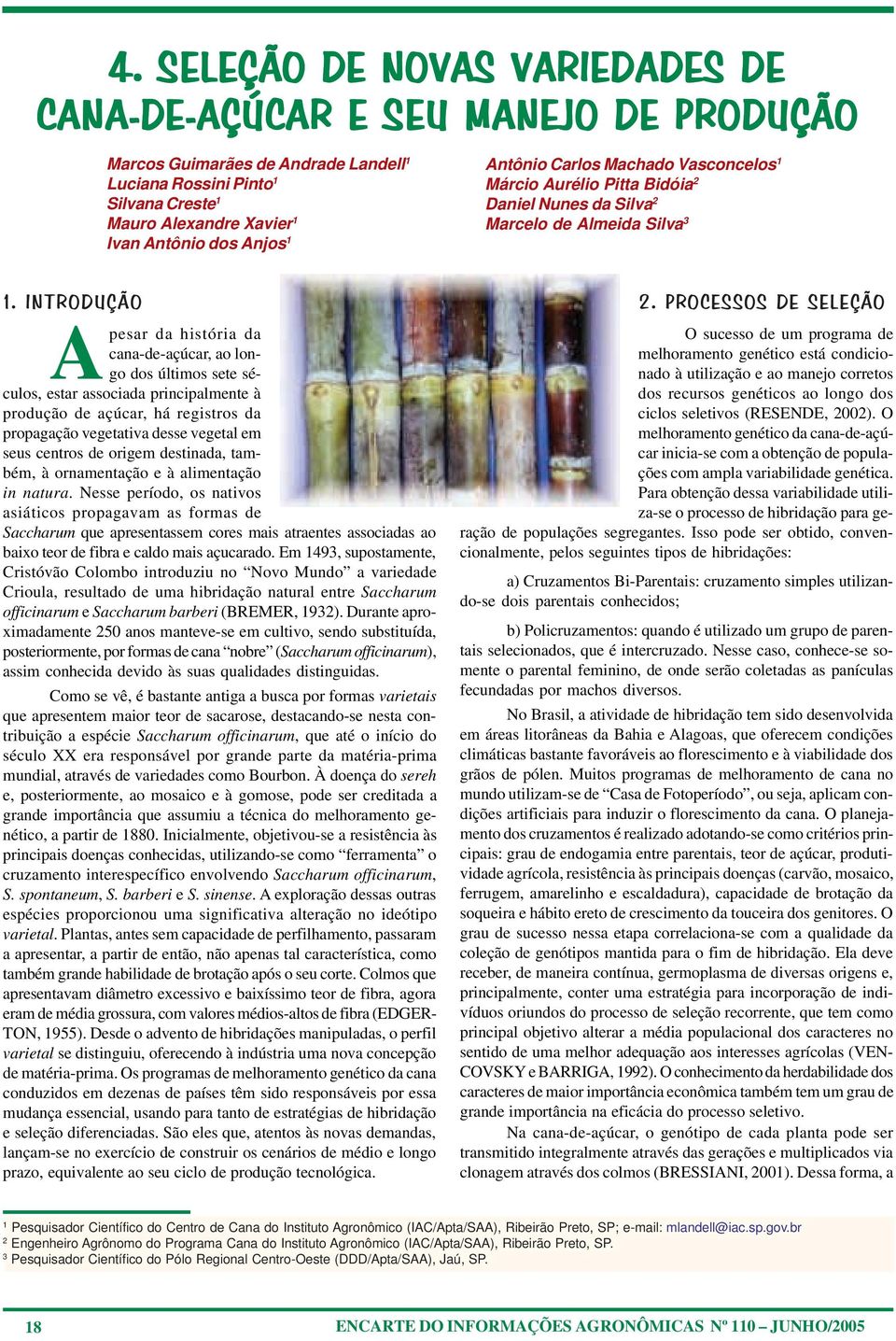 INTRODUÇÃO Apesar da história da cana-de-açúcar, ao longo dos últimos sete séculos, estar associada principalmente à produção de açúcar, há registros da propagação vegetativa desse vegetal em seus