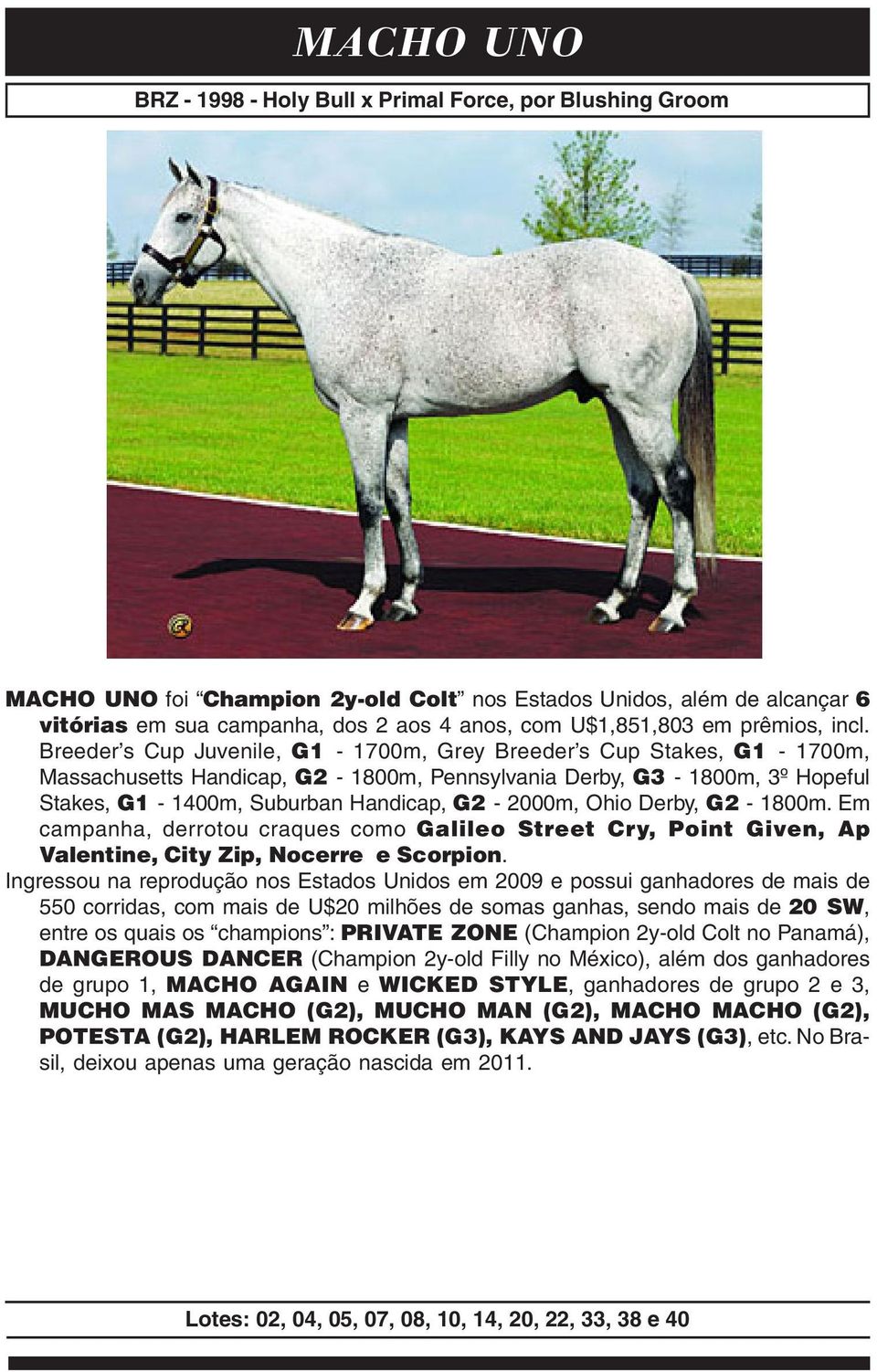 Breeder s Cup Juvenile, G1-1700m, Grey Breeder s Cup Stakes, G1-1700m, Massachusetts Handicap, G2-1800m, Pennsylvania Derby, G3-1800m, 3º Hopeful Stakes, G1-1400m, Suburban Handicap, G2-2000m, Ohio