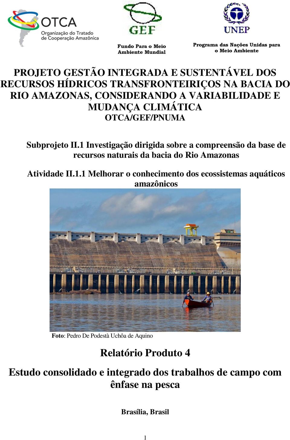 1 Investigação dirigida sobre a compreensão da base de recursos naturais da bacia do Rio Amazonas Atividade II.1.1 Melhorar o conhecimento dos