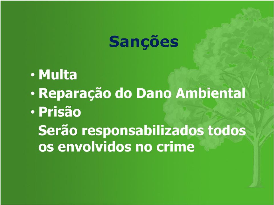 Serão responsabilizados