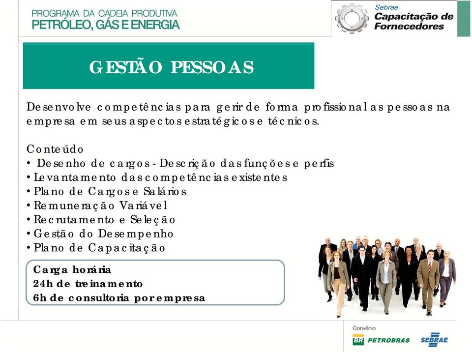 Conteúdo Desenho de cargos - Descrição das funções e perfis Levantamento das competências existentes