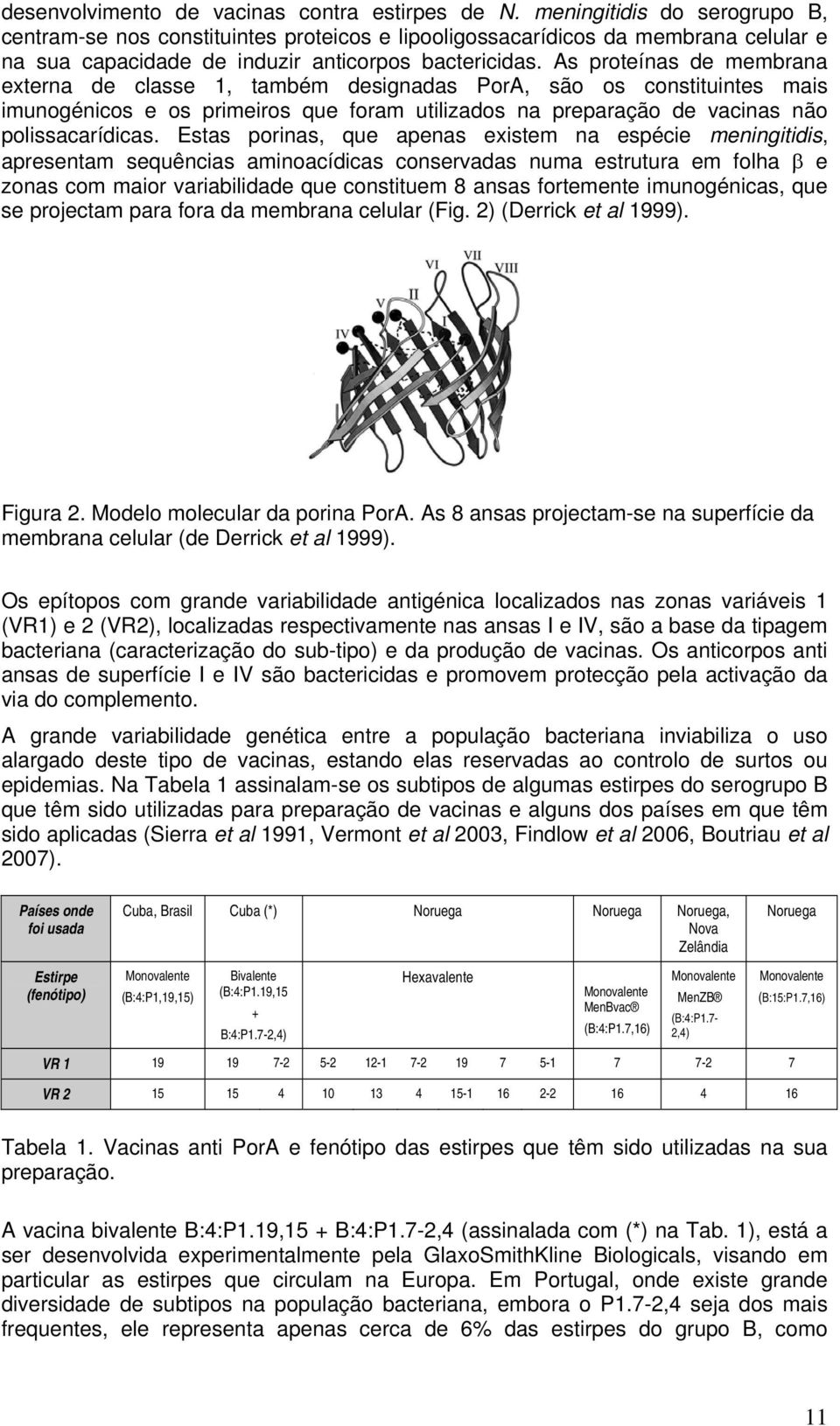 As proteínas de membrana externa de classe 1, também designadas PorA, são os constituintes mais imunogénicos e os primeiros que foram utilizados na preparação de vacinas não polissacarídicas.