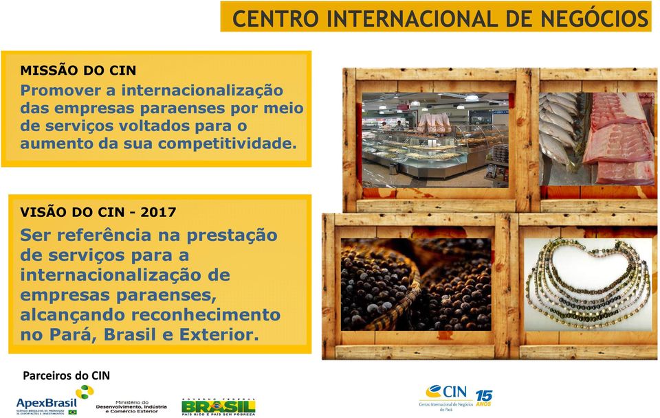 VISÃO DO CIN - 2017 Ser referência na prestação de serviços para a internacionalização