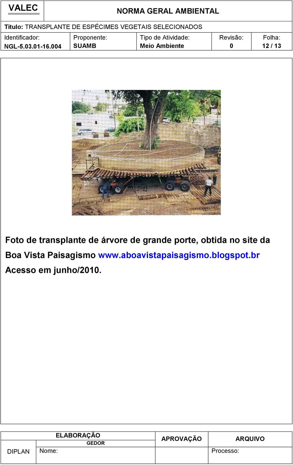 de grande porte, obtida no site da Boa