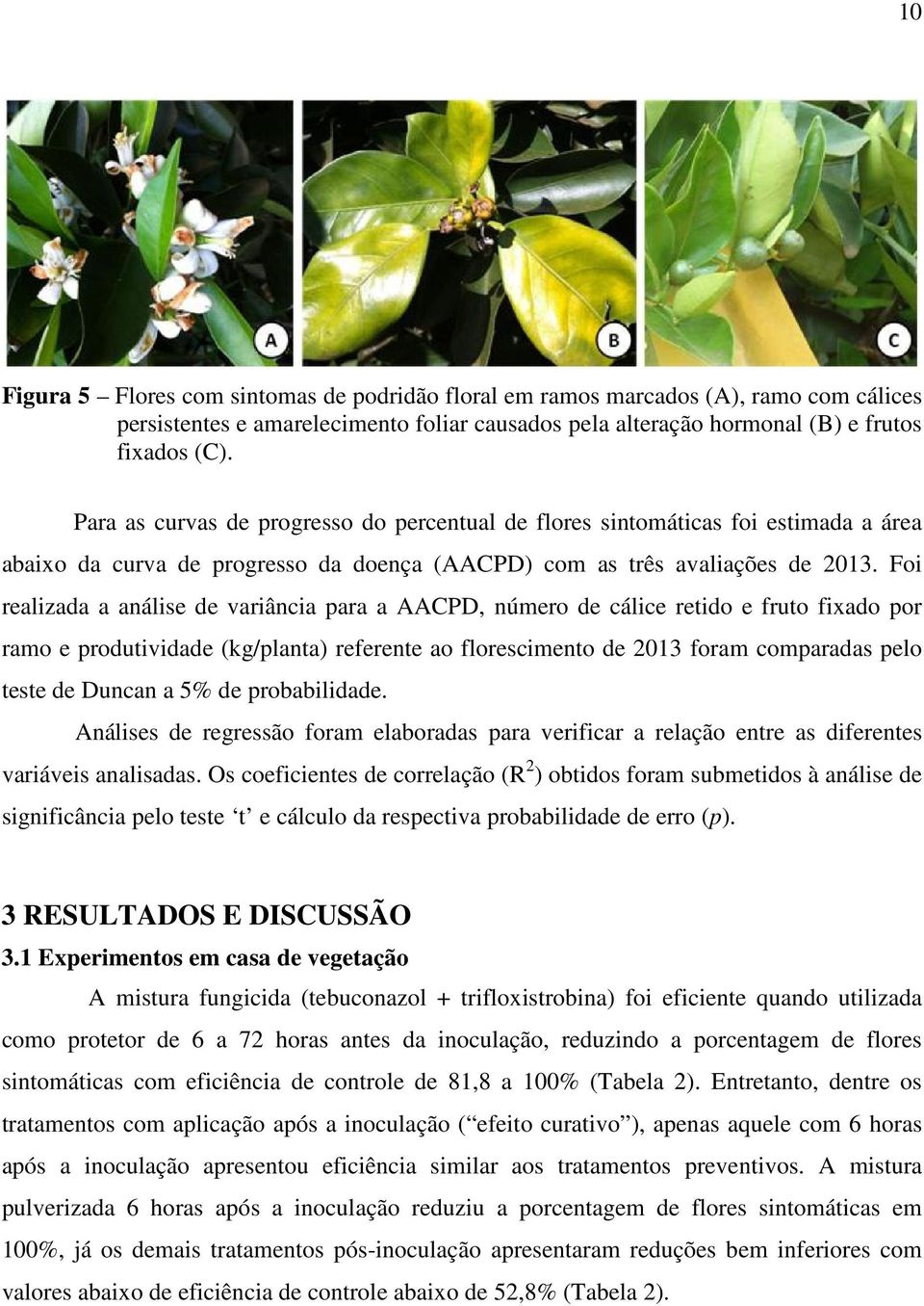 Foi realizada a análise de variância para a AACPD, número de cálice retido e fruto fixado por ramo e produtividade (kg/planta) referente ao florescimento de 2013 foram comparadas pelo teste de Duncan