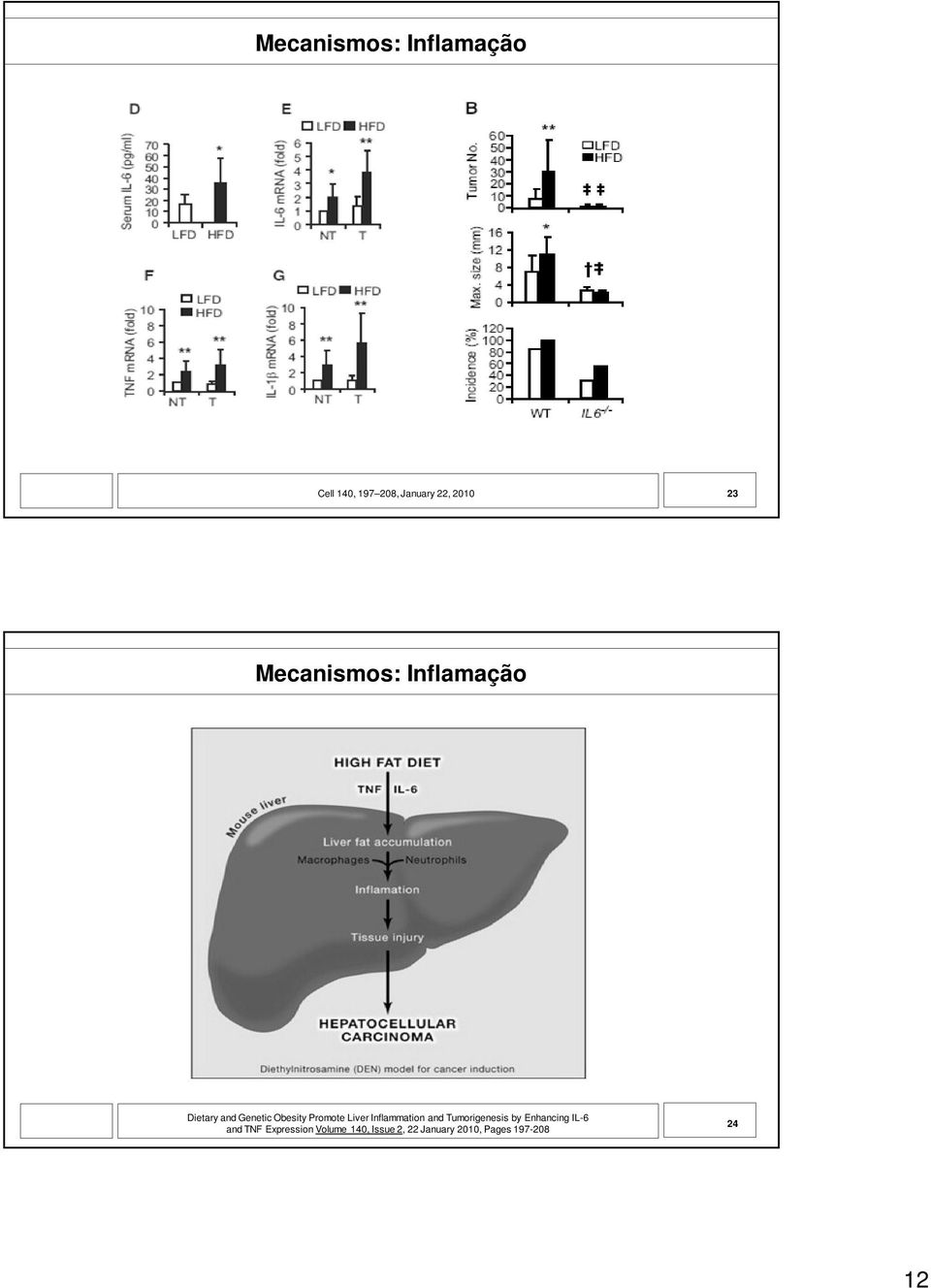 Liver Inflammation and Tumorigenesis by Enhancing IL-6 and TNF
